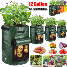 seedsgrowbox, Outdoor, tomatoholder, Garden