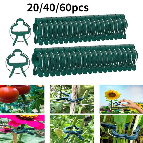 20/40/60pcs Plant Support Clips,Flower and Vine,Garden Tomato Plant ...