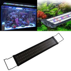 , 30cm, Plants, Full