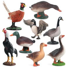 poultry, Head, Toy, animalmodel