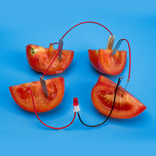 Bio Energy Science Kit Children Educational Fun Potato Electricity