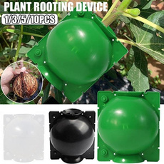 case, saplingbreeding, Plants, growingbox