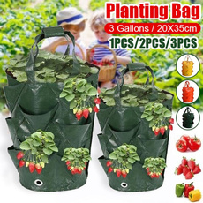 planting, Plants, Flowers, Gardening