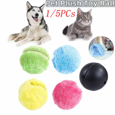 dogtoy, Funny, cattoy, Toy