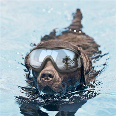 Fashion Accessories, Swimming, Sunglasses, Waterproof