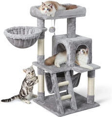 Gray, cattower, hammock, catclimbing