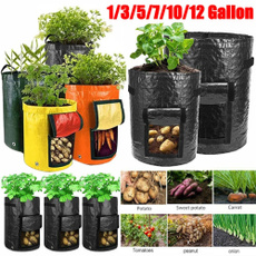 Plants, Farm, Garden, potatobag