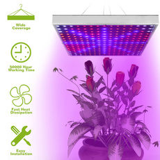 Plants, vegandflower, lights, Indoor