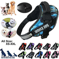 Vest, pet clothes, servicedogvest, Pets
