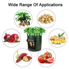 seedsgrowbox, tomatoholder, plantcontainer, Bags