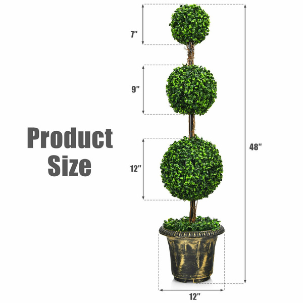 Outdoor, Plants, Indoor, Tree