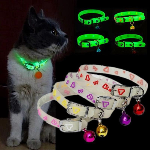 Fluorescent 2024 cat collar