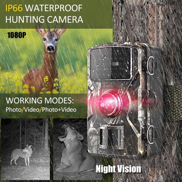 NEW 12MP 1080P Wildlife Hunting Trail And Game Camera with 8GB/16GB ...