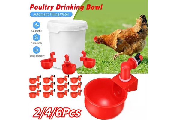 Farmight Auto-Filling Poultry Water Cup, Pack of 5 or 10 - My Pet Chicken