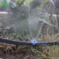 thumbnail - 10
