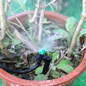 thumbnail - 8