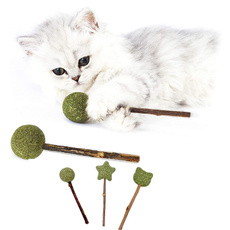 Funny, cattoy, Indoor, cattreat