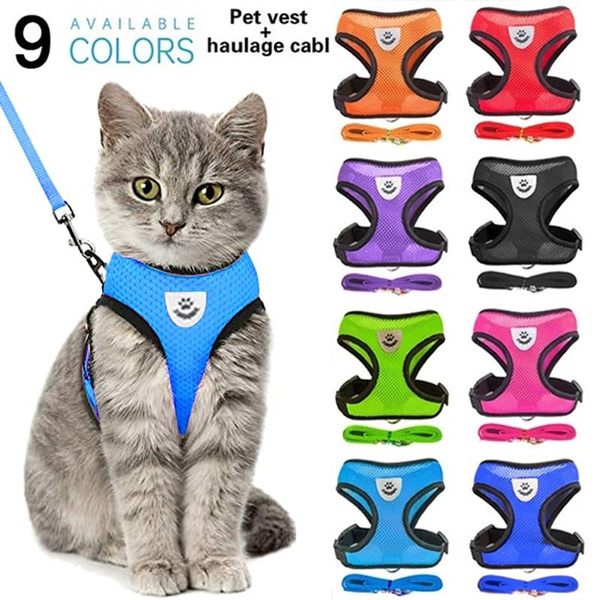 Large cat clearance harness and lead