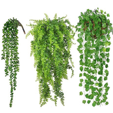 fern, succulent, Decor, hangingplant