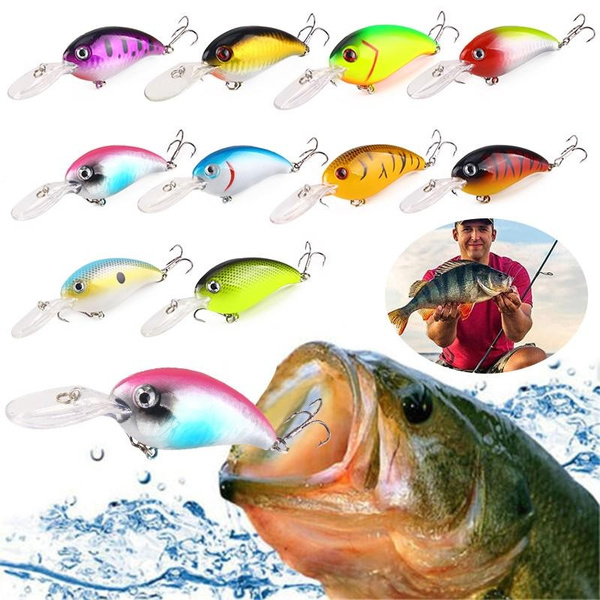 Bass Crankbait Fishing Lure,10cm Hard Bait Artificial Wobblers Plastic  Fishing Tackle with Treble Hooks 10 Style 13.6g Fishing Hook for Saltwater  Freshwater Trout Bass Salmon Fishing