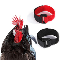 nocrowroostercollar, preventchickensfromcrowing, portable, Pets