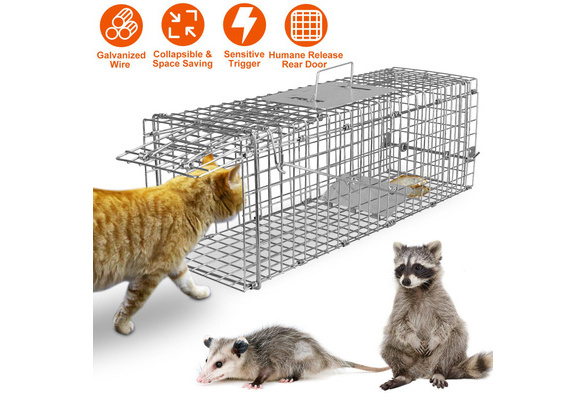 Dropship Humane Cat Trap Cage Catch Release Live Animal Rodent Cage  Collapsible Galvanized Wire For Small Raccoons Beavers Groundhogs Foxes  Armadillos to Sell Online at a Lower Price