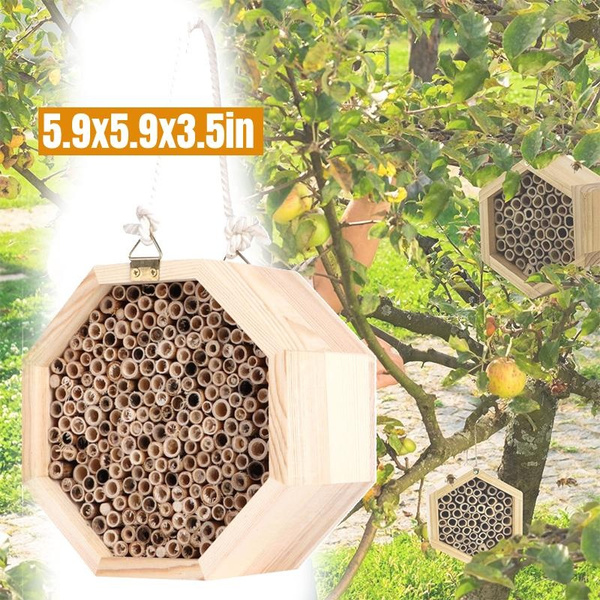 Schilf Bambus Bienenhaus Beesi Insektenhaus Zum Hngen  Wildbienen  Nisthilfe Mit Austauschbaren Modulen & Vogelschutz