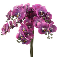 fakeorchid, latex, Decor, Flowers
