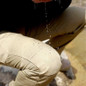 thumbnail - 7