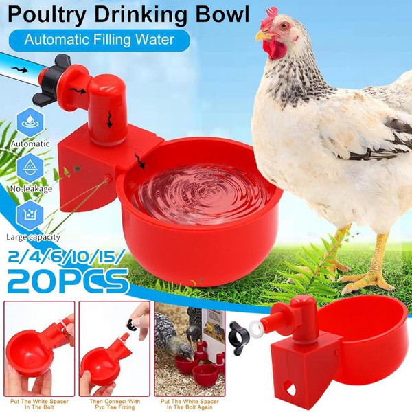 2 4 6 10 15 20PCS Farm Chicken Coop Automatic Chicken Drinking Cup 2-4-6-10-15-20pcs-farm-chicken-coop-automatic-chicken-drinking-cup