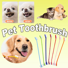 Pets, Pet Products, Dogs, petstoothbrush
