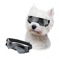 Fashion, Pets, Goggles, Dogs