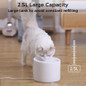 thumbnail - 1