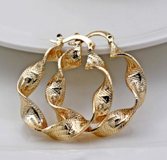 Fashion Accessory, Hoop Earring, Concerts, Earring