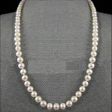 Jewelry, Bracelet, Accessories, pearls