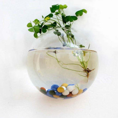 microlandscapeecologicalbottle, Plants, Flowers, Tank