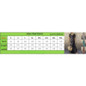 thumbnail - 13