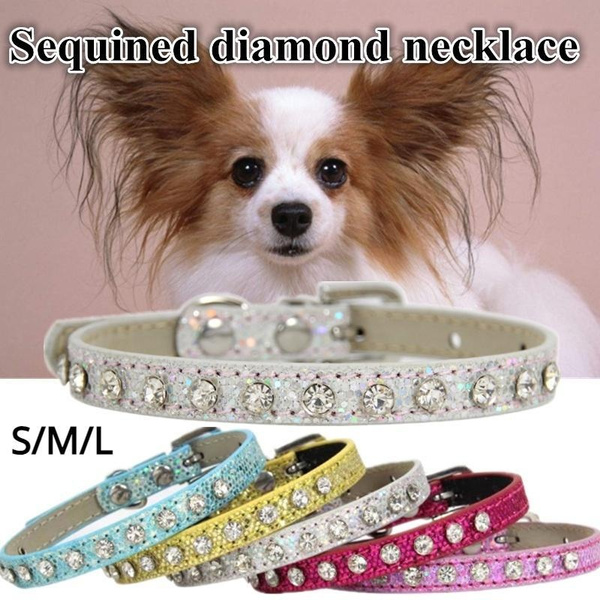 Petsmart Dog Nail Trim Bling Rhinestone Elastic Necklace Collar Alloy  Diamond Puppy Pet Collars Leashes For Little Dogs S M L Jewelry Accessor  Dhrkk From Homeindustry, $9.62 | DHgate.Com