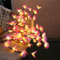 thumbnail - 2
