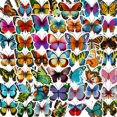 butterfly, Butterflies, Gifts, Colorful