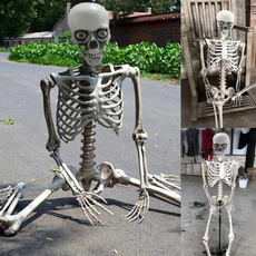 humanbone, skeletonprop, Skeleton, skull
