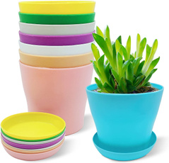 Plants, plasticplantpot, Office, Colorful