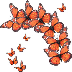 butterfly, decoration, Decor, Butterflies