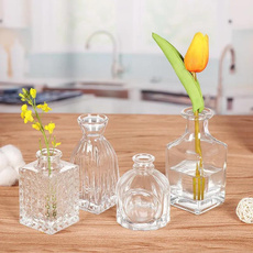 Mini, Plants, glassvase, Glass