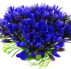 artificialwatergra, Plants, landscapingdecoration, aquaticplant