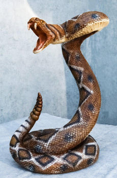 , reptile, Figurine, amphibian