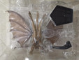 thumbnail - 2