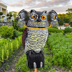 Owl, owlpendant, Outdoor, Yard