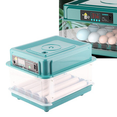 householdeggincubator, eggincubator, automaticeggincubator, Eggs