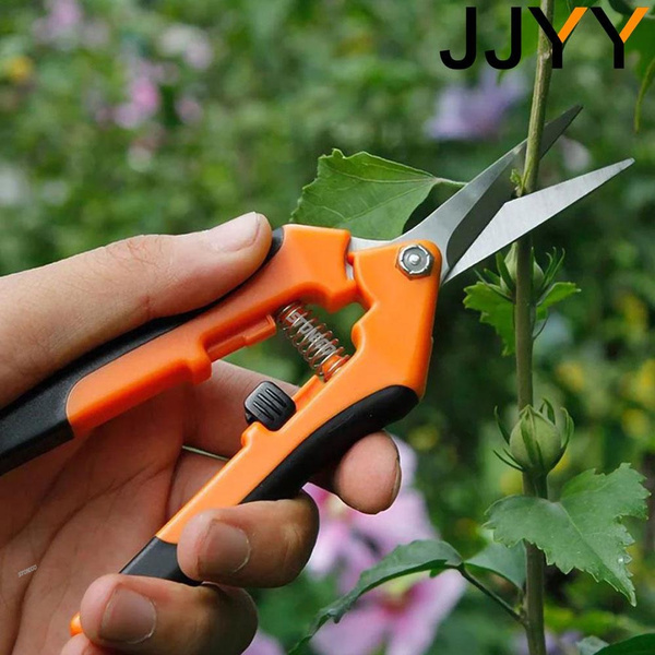 JJYY Portable Garden Stainless Pruning Shears Fruit Picking Scissors  Household Potted Trim Branches Small Gardening Tools
